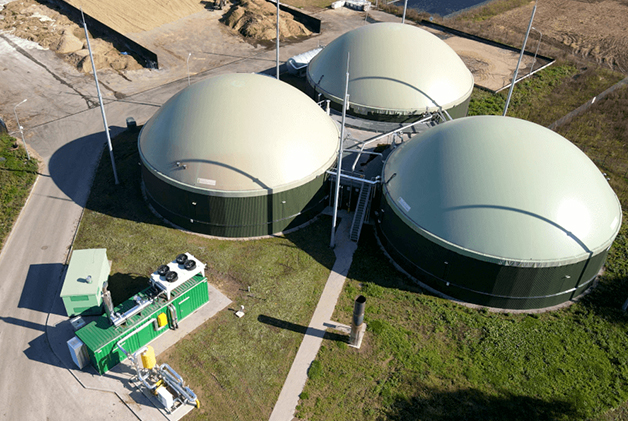 Biomass and Biogas